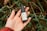 A bottle of anti-aging eye cream is held in a person's hand. The background consists of green foliage with dark brownish areas, giving a natural setting.