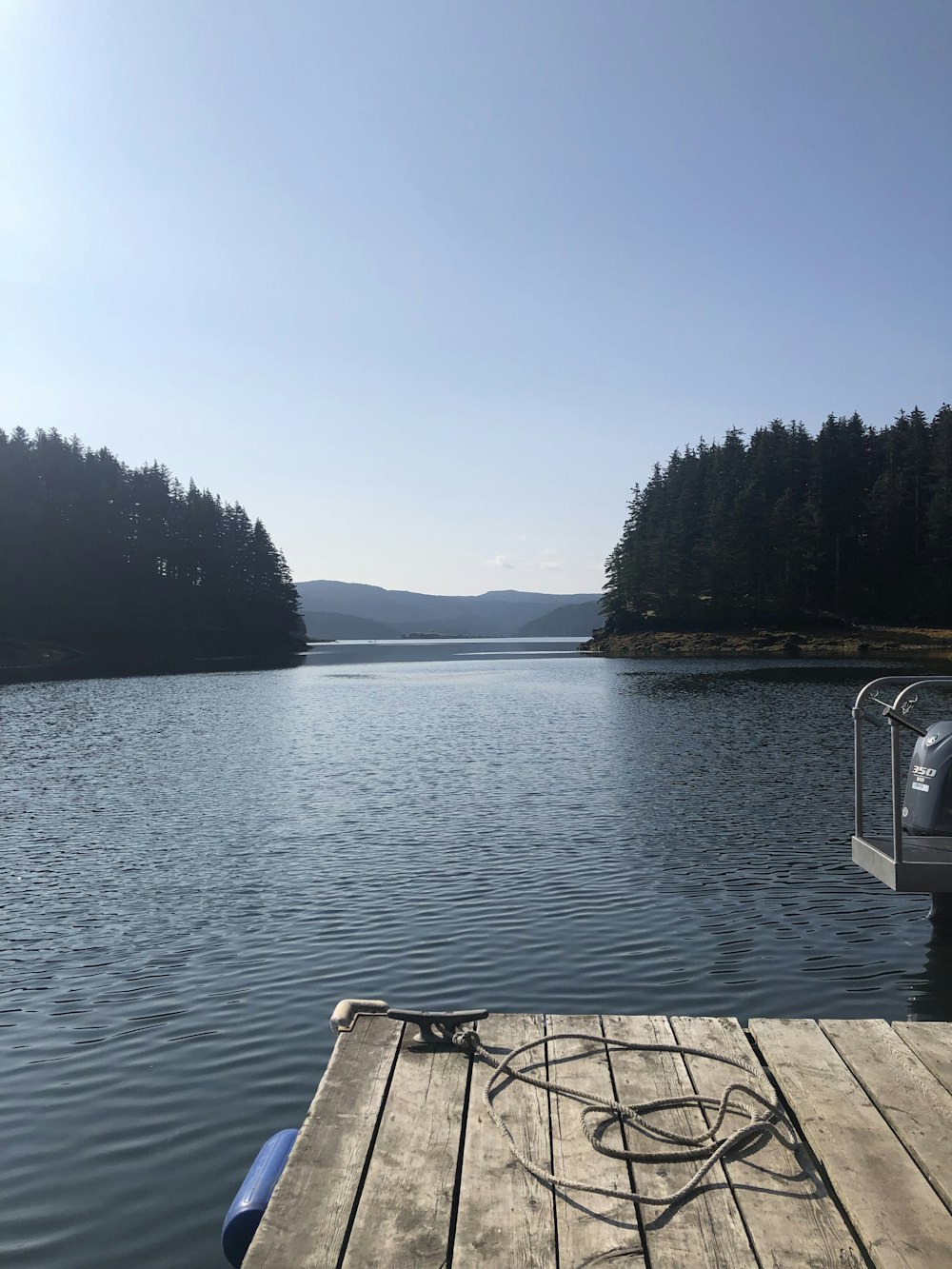 body of water near trees during daytime