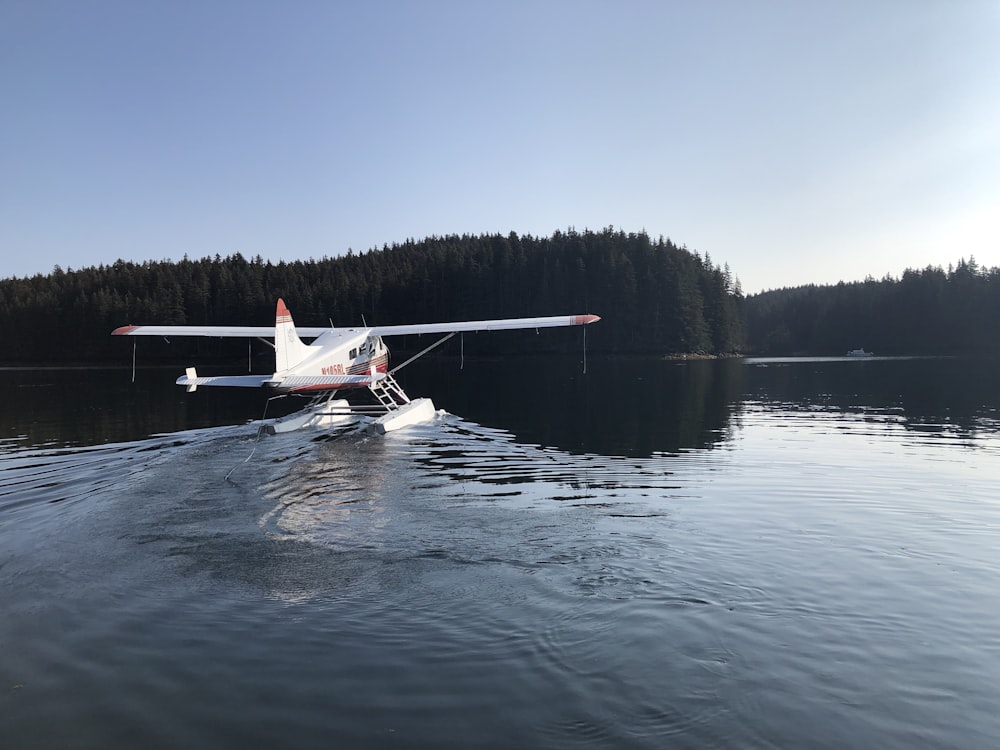 Flugzeug tagsüber auf Gewässer in der Nähe von Bäumen