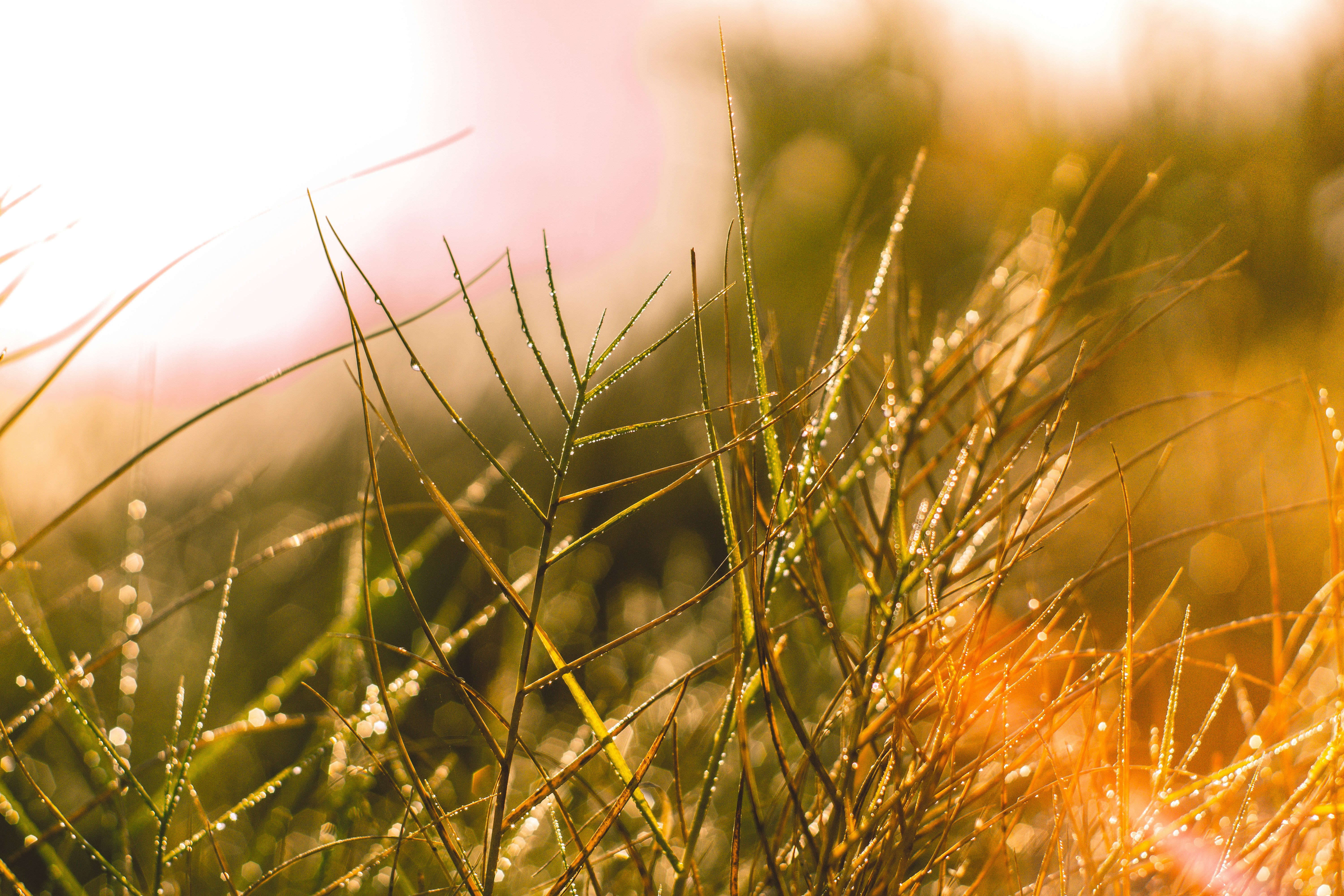 Photo by fiveohfilms