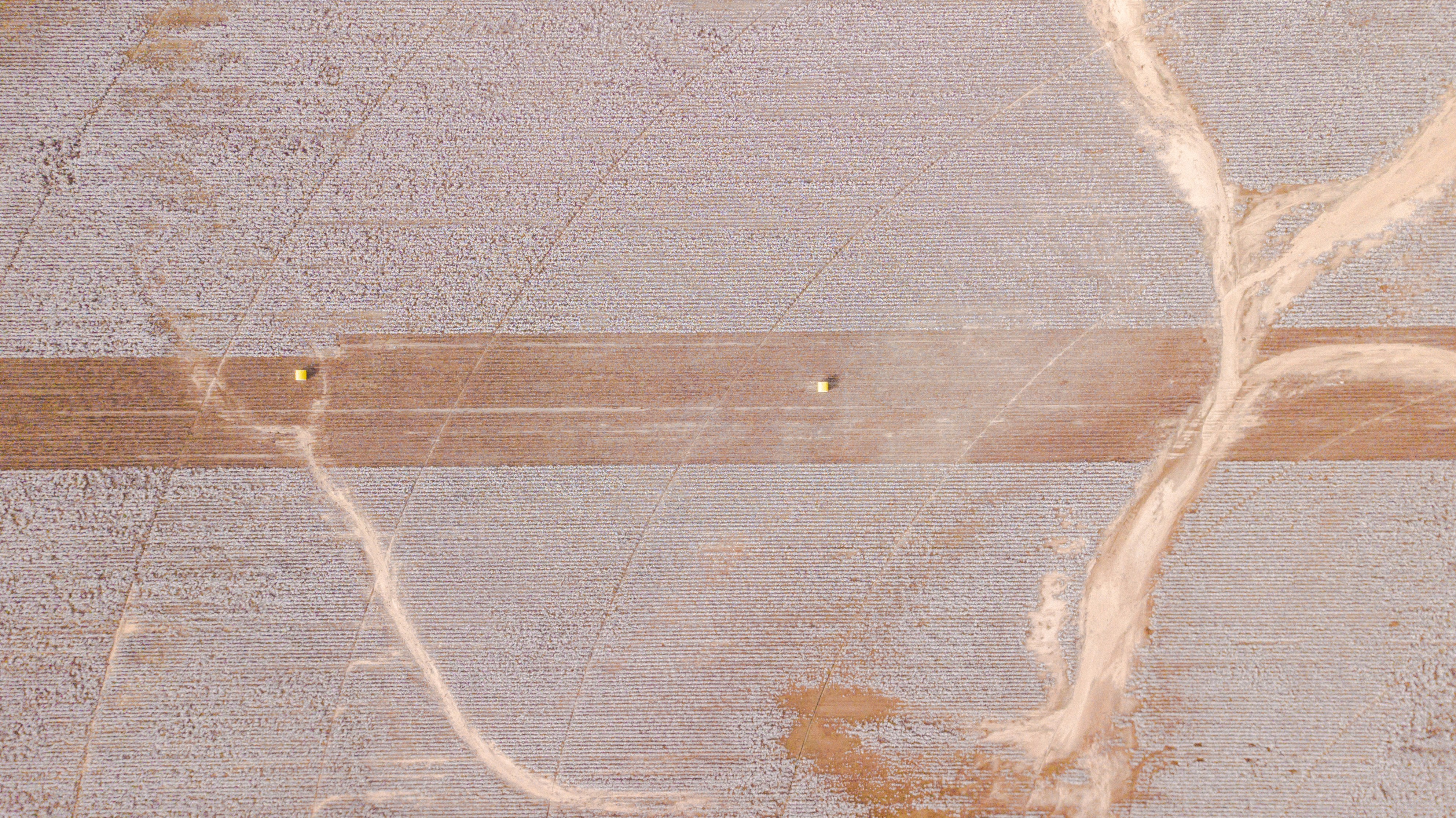 Photo by whitfieldjordan