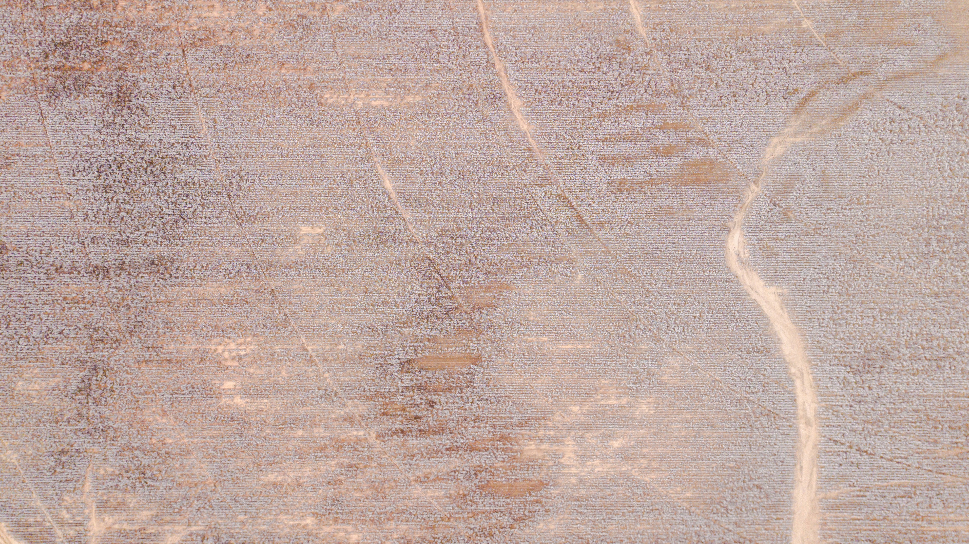 Photo by whitfieldjordan