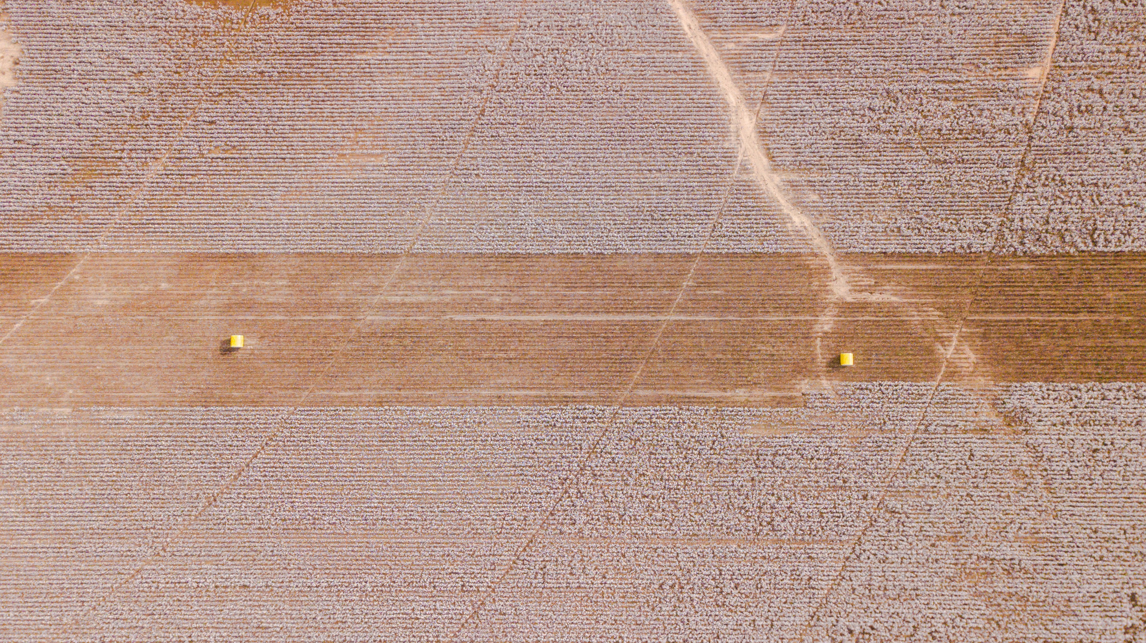 Photo by whitfieldjordan