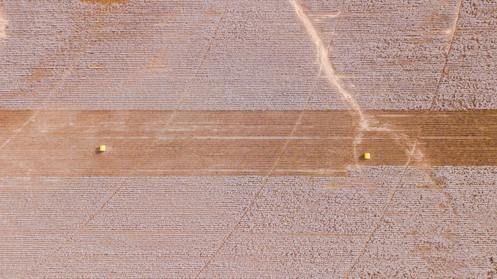 an aerial view of a field with yellow flowers