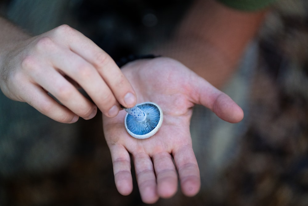person holding round blue and white ornament
