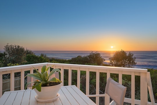 wooden table near balustrade near trees during golden hour in Diamond Head NSW Australia