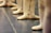 Several ballet dancers stand in a line, focusing on their feet clad in soft ballet slippers. The dancers are aligned on a smooth studio floor, possibly in preparation for a class or rehearsal.