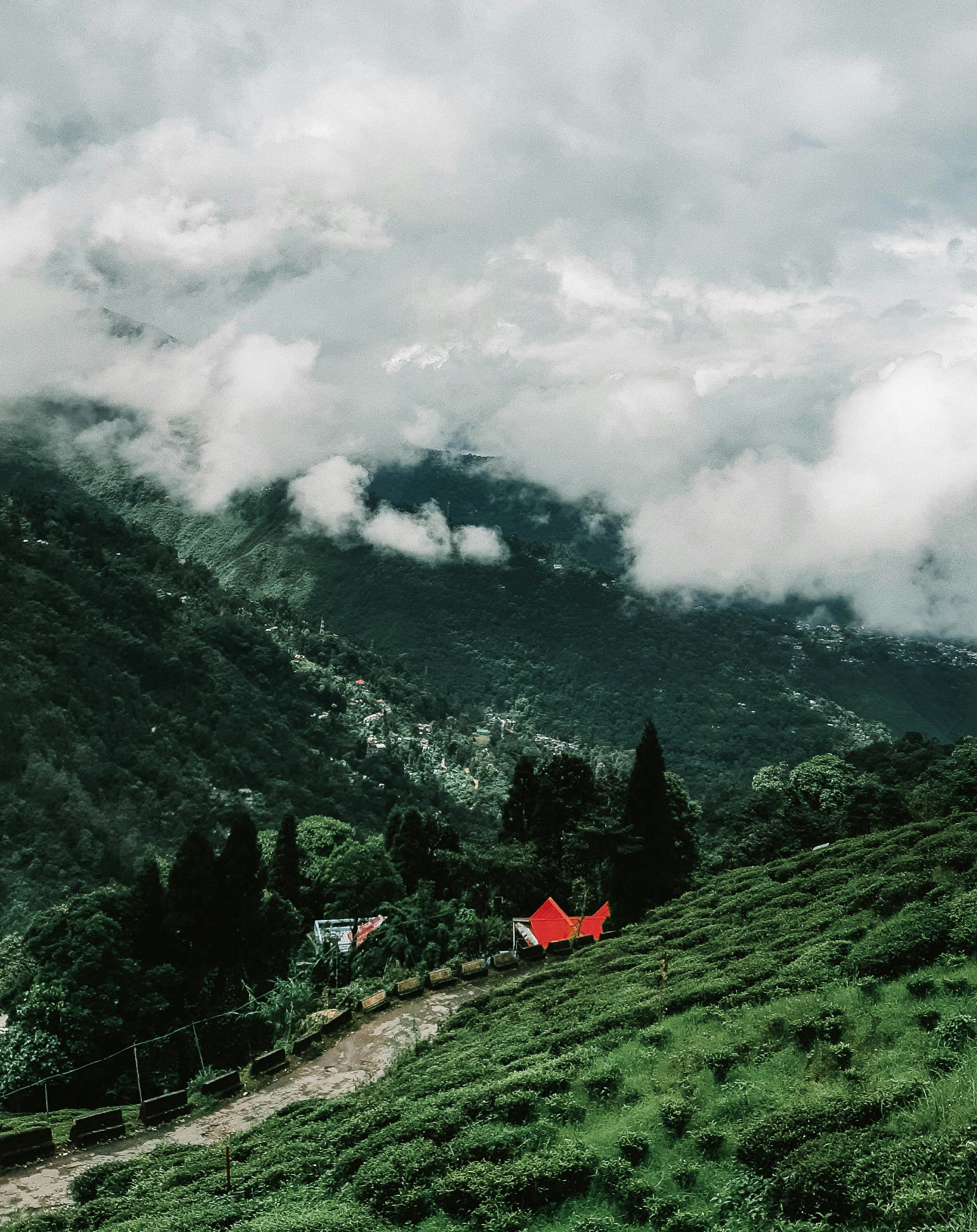 Photo by arunavat105