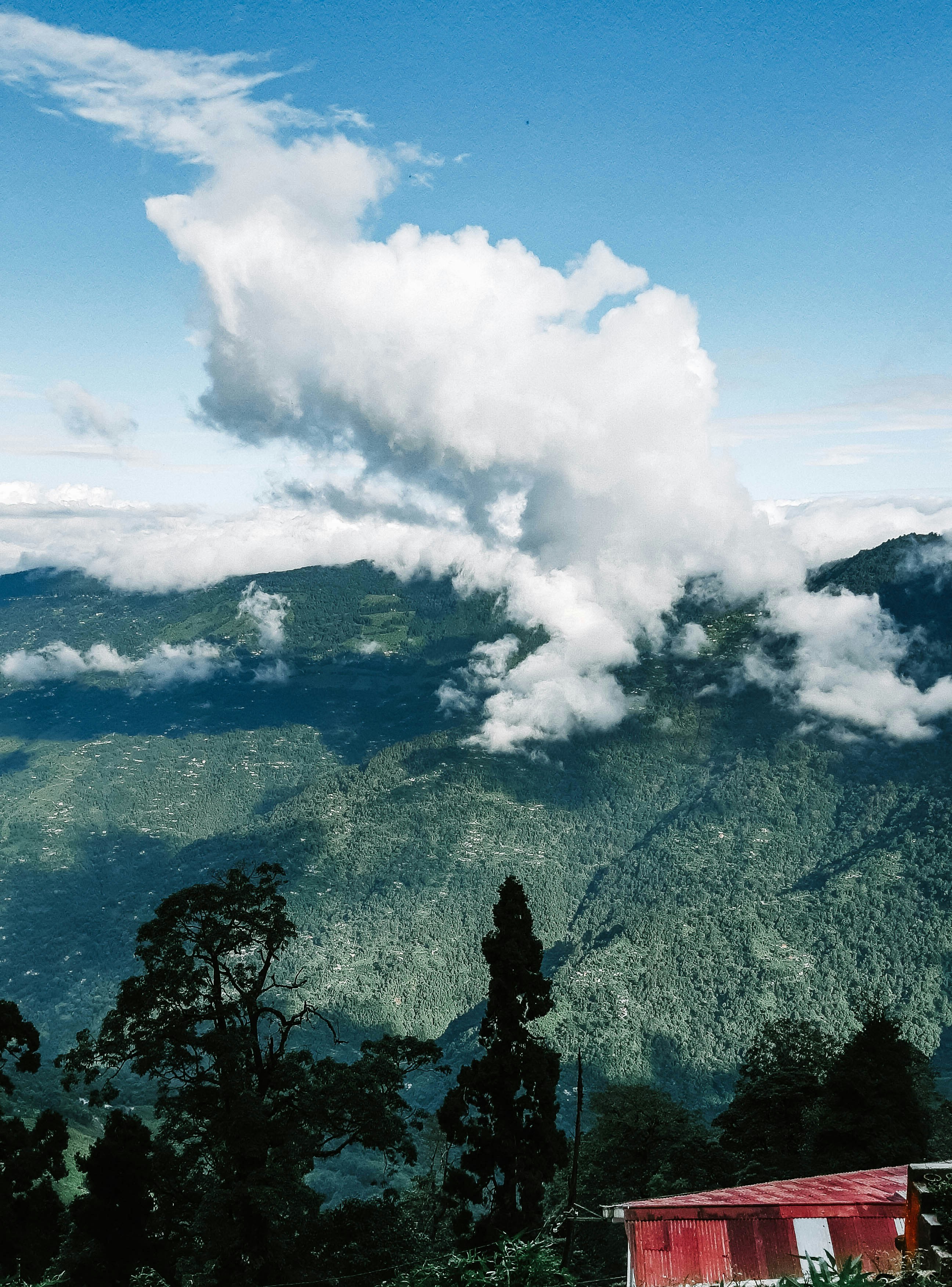 Photo by arunavat105