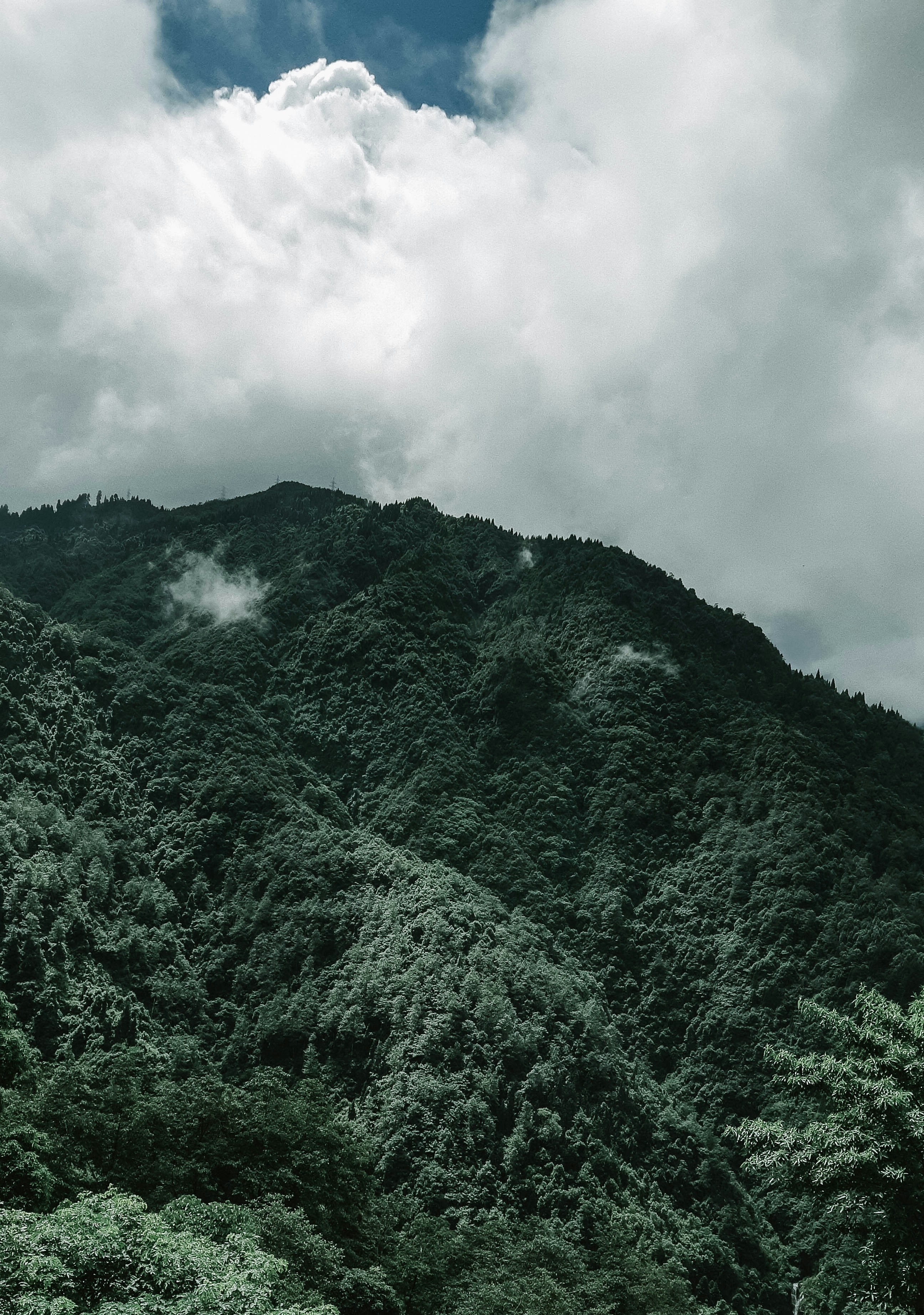 Photo by arunavat105