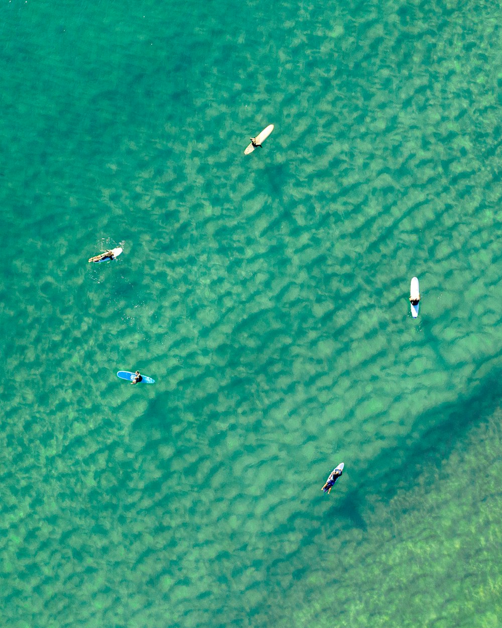 five people riding on surfboard during daytime