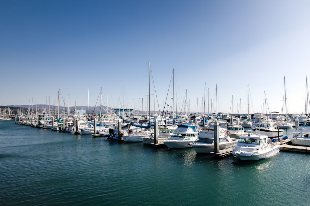 a bunch of boats that are in the water