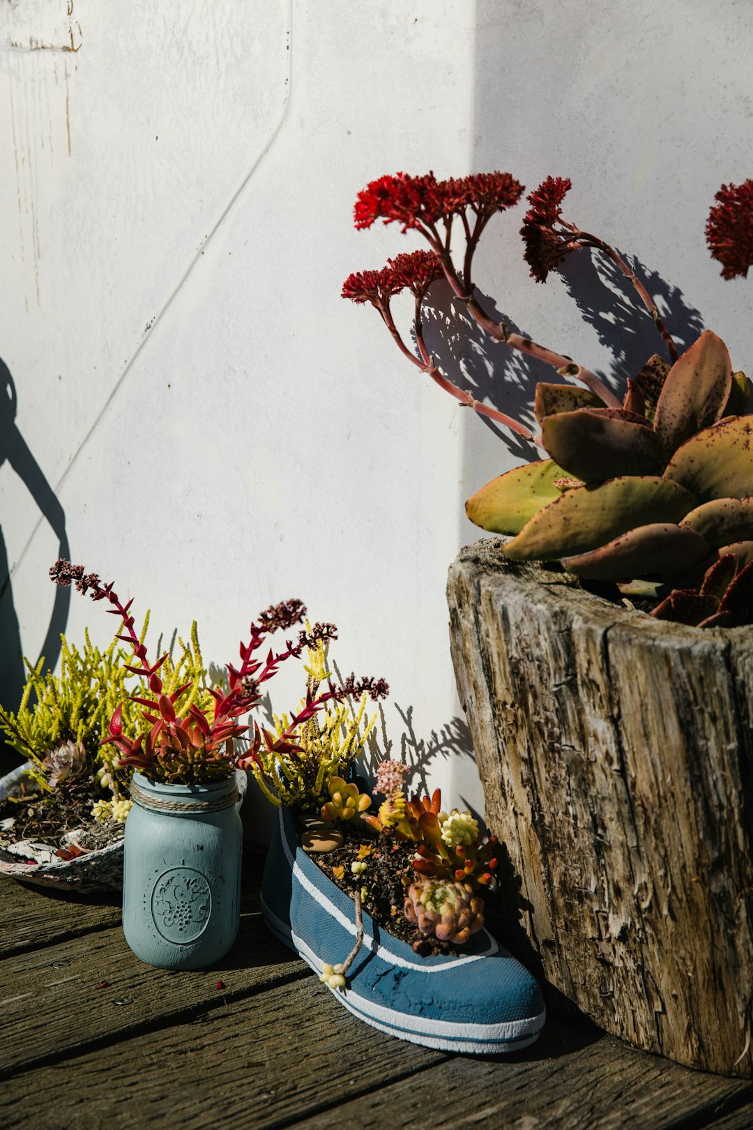 assorted-color flower plants near wall