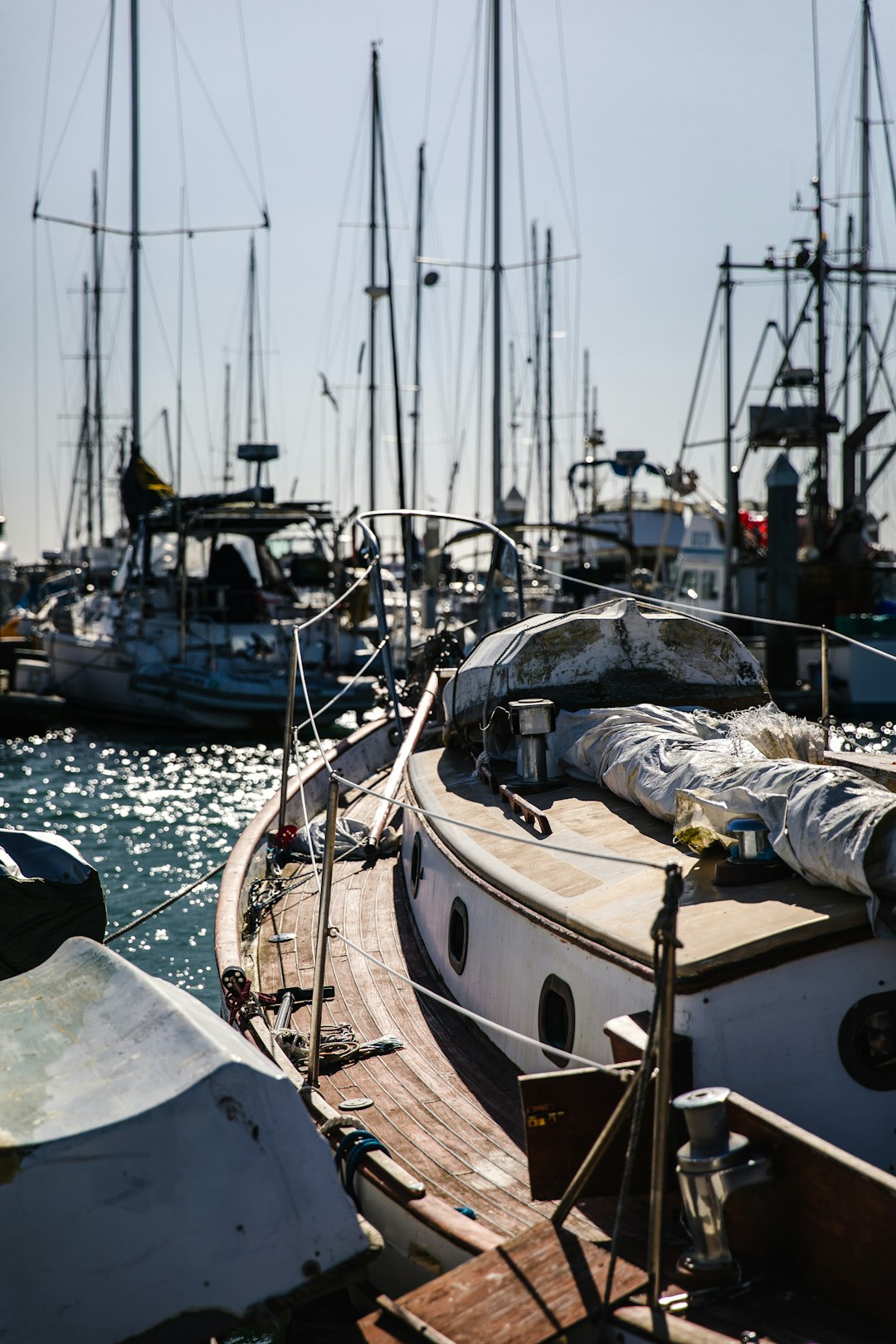 brown and white boat