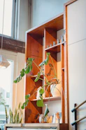 A bright room corner with green potted plants and decorative vases on a wooden shelf.