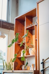 Elegant ceramic planters holding vibrant green plants on a wooden shelf.