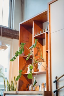Bright kitchen with open shelves and fresh plants on the windowsill.