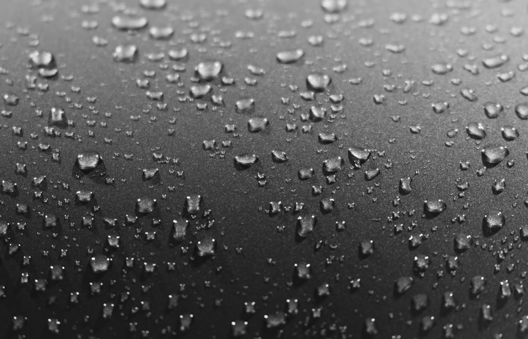 closeup photo of water dew
