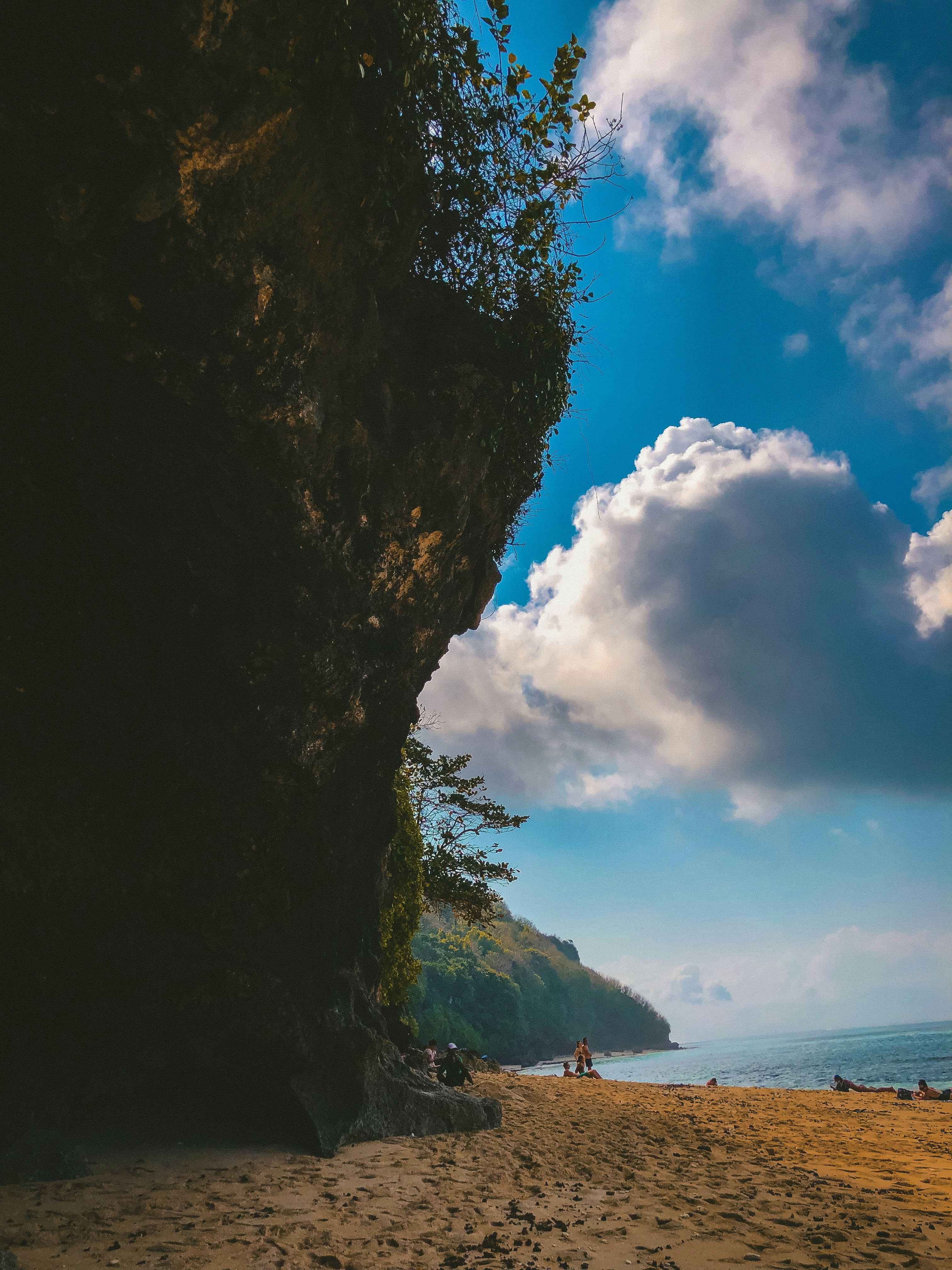 seashore during daytime