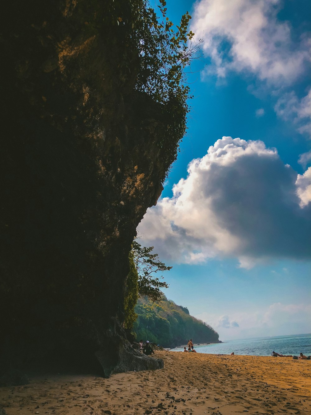 seashore during daytime