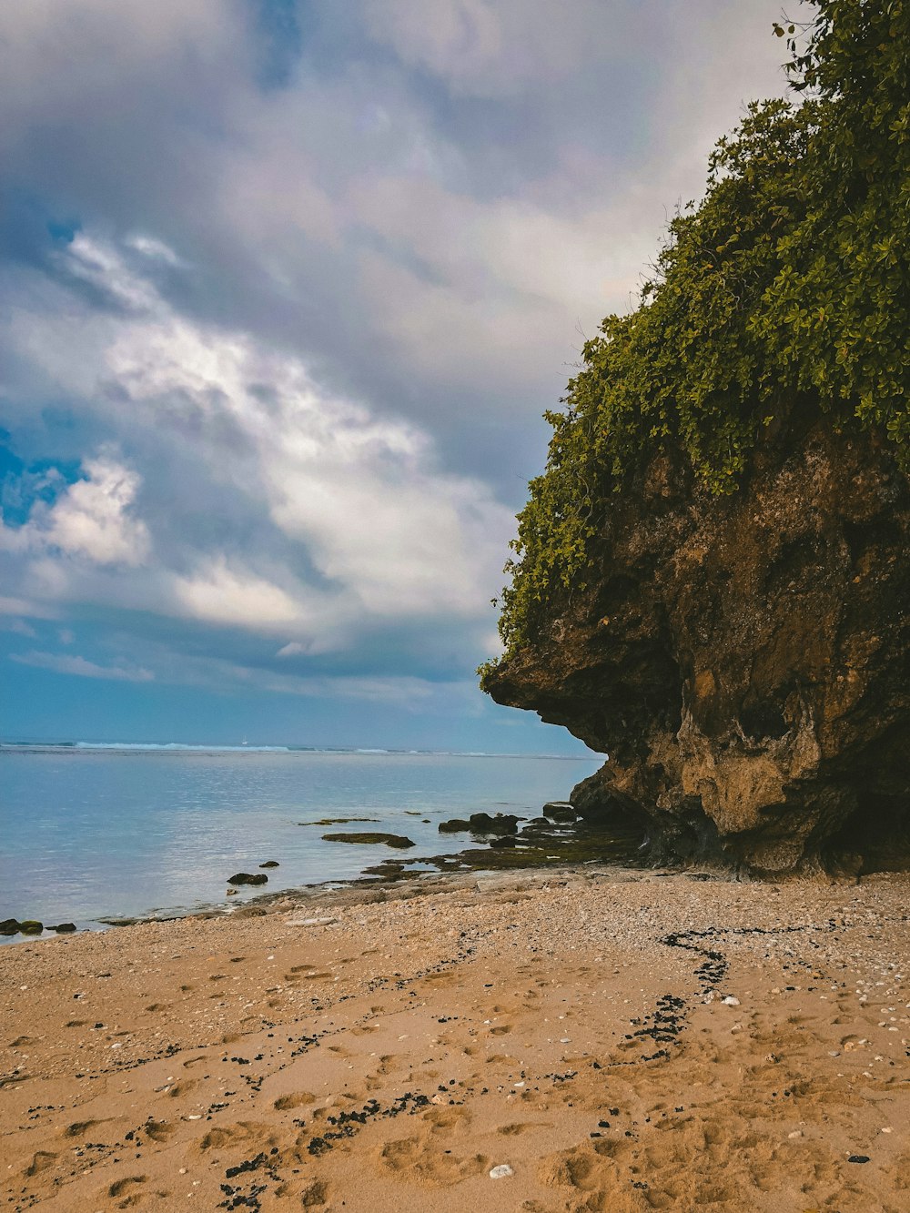 wavy seashore during daytime