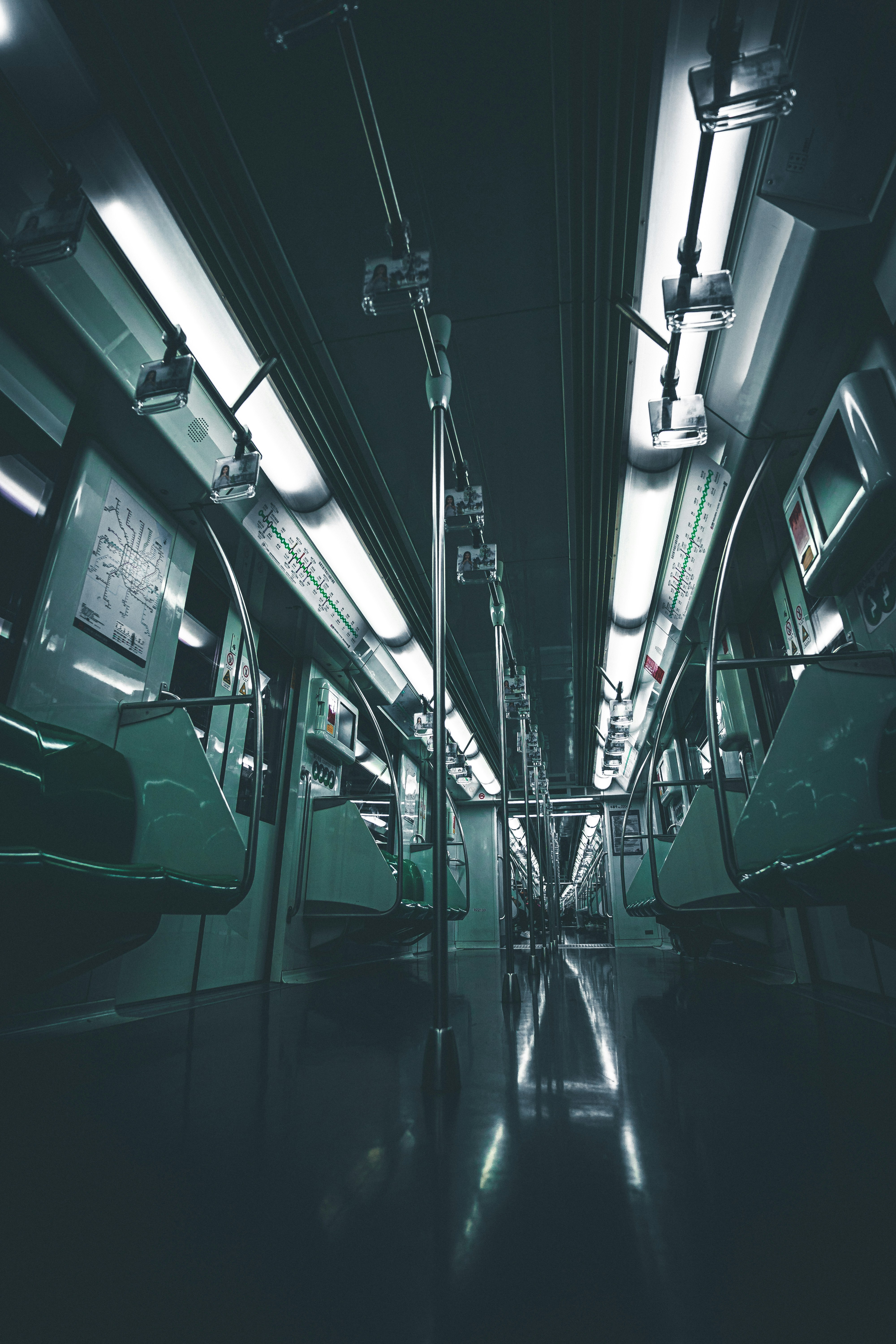 Photo by mischievous_penguins