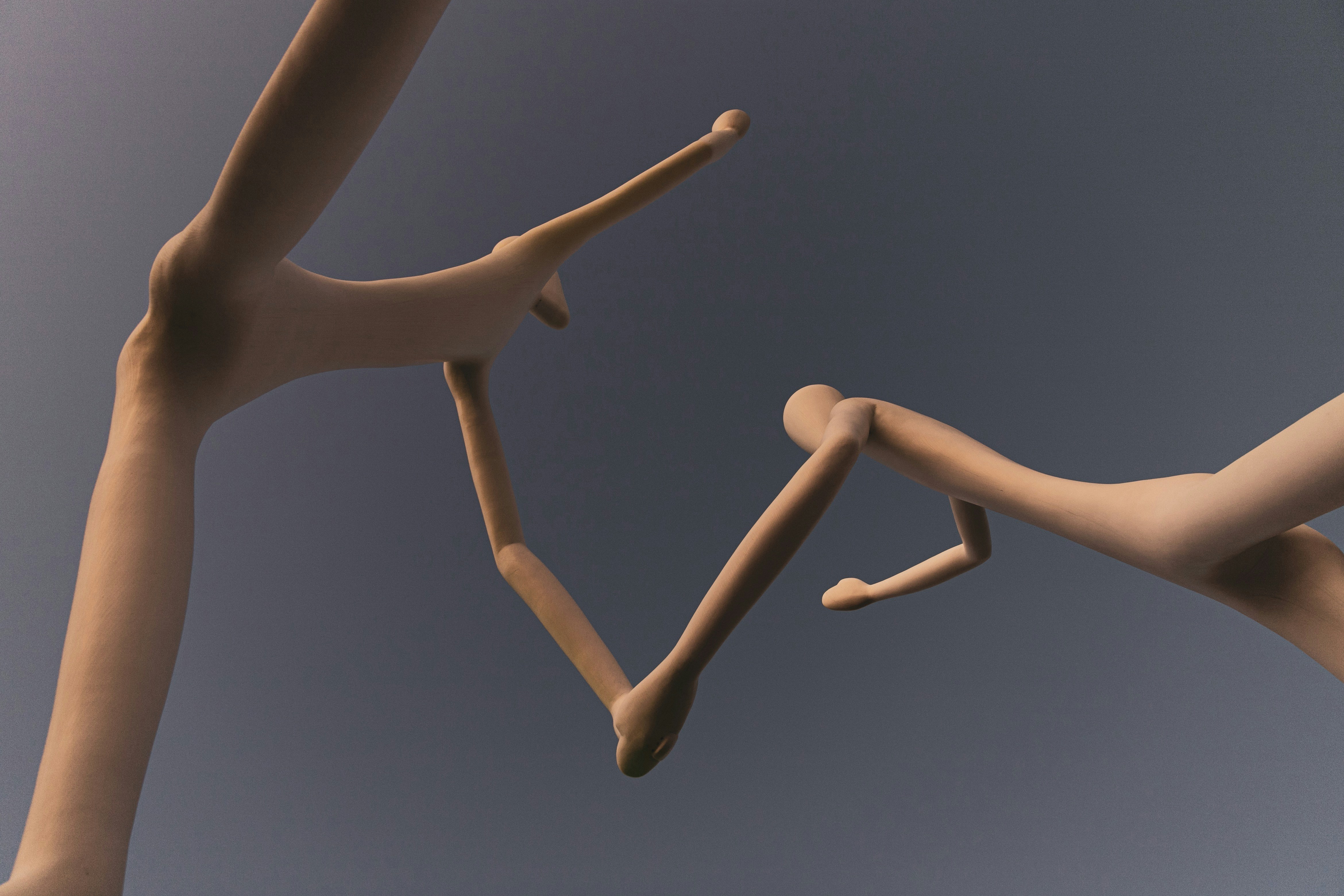 How THCA Interacts with the Endocannabinoid System and What That Means for Wellness