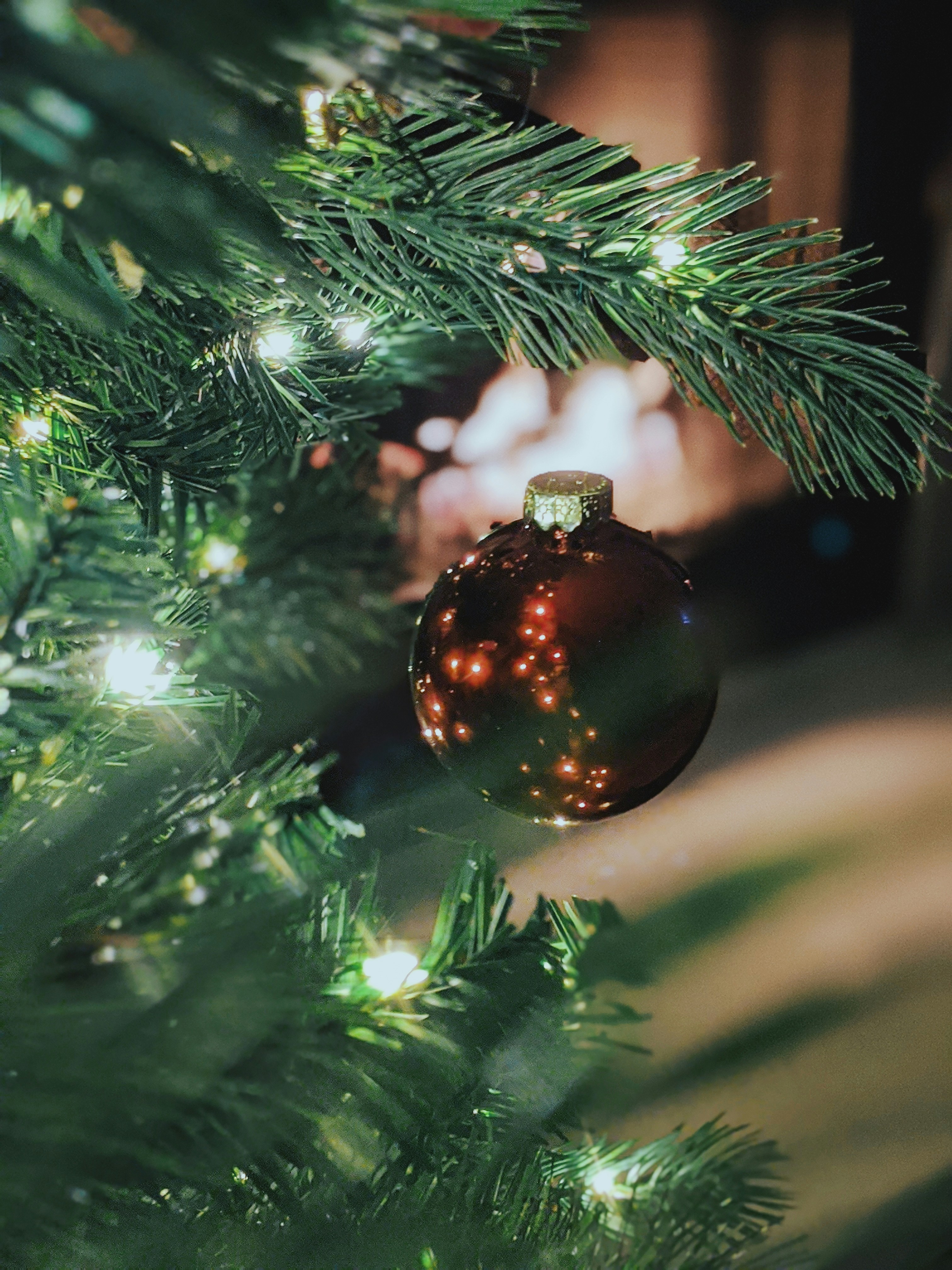 Photo by caseymjames