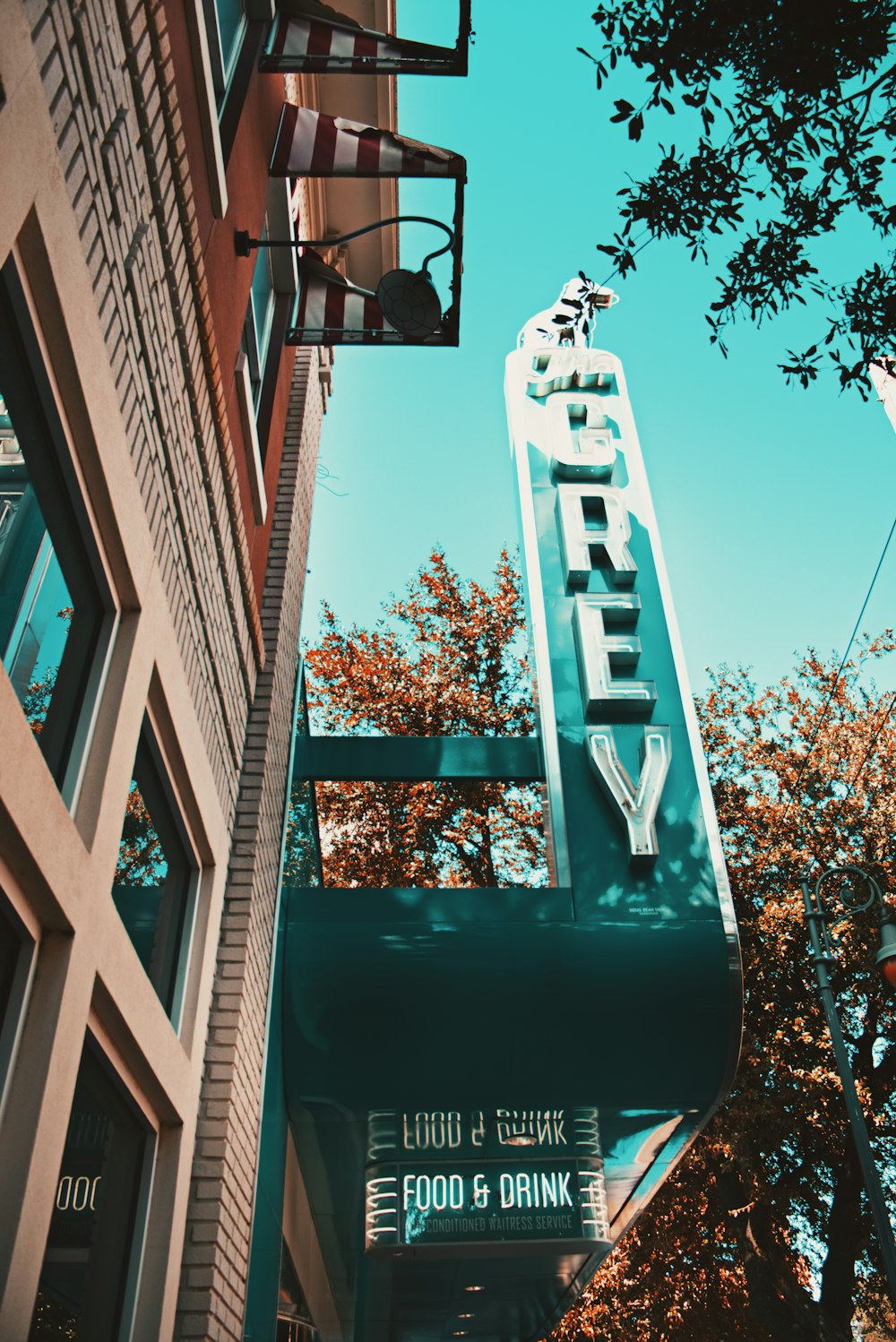 establishment with Grey signage