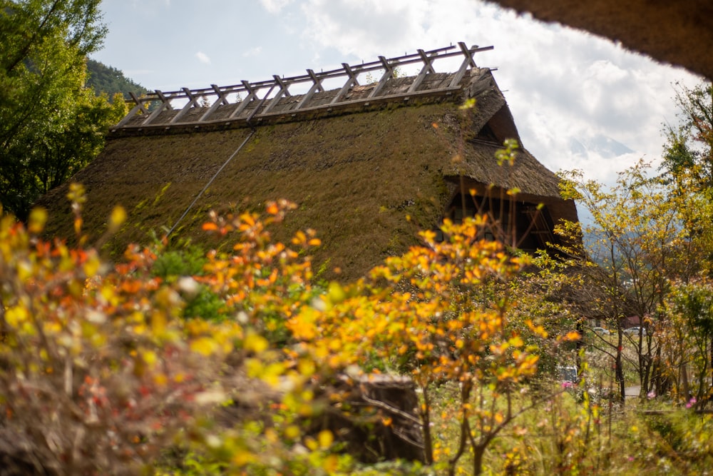 brown wooden house during daytime