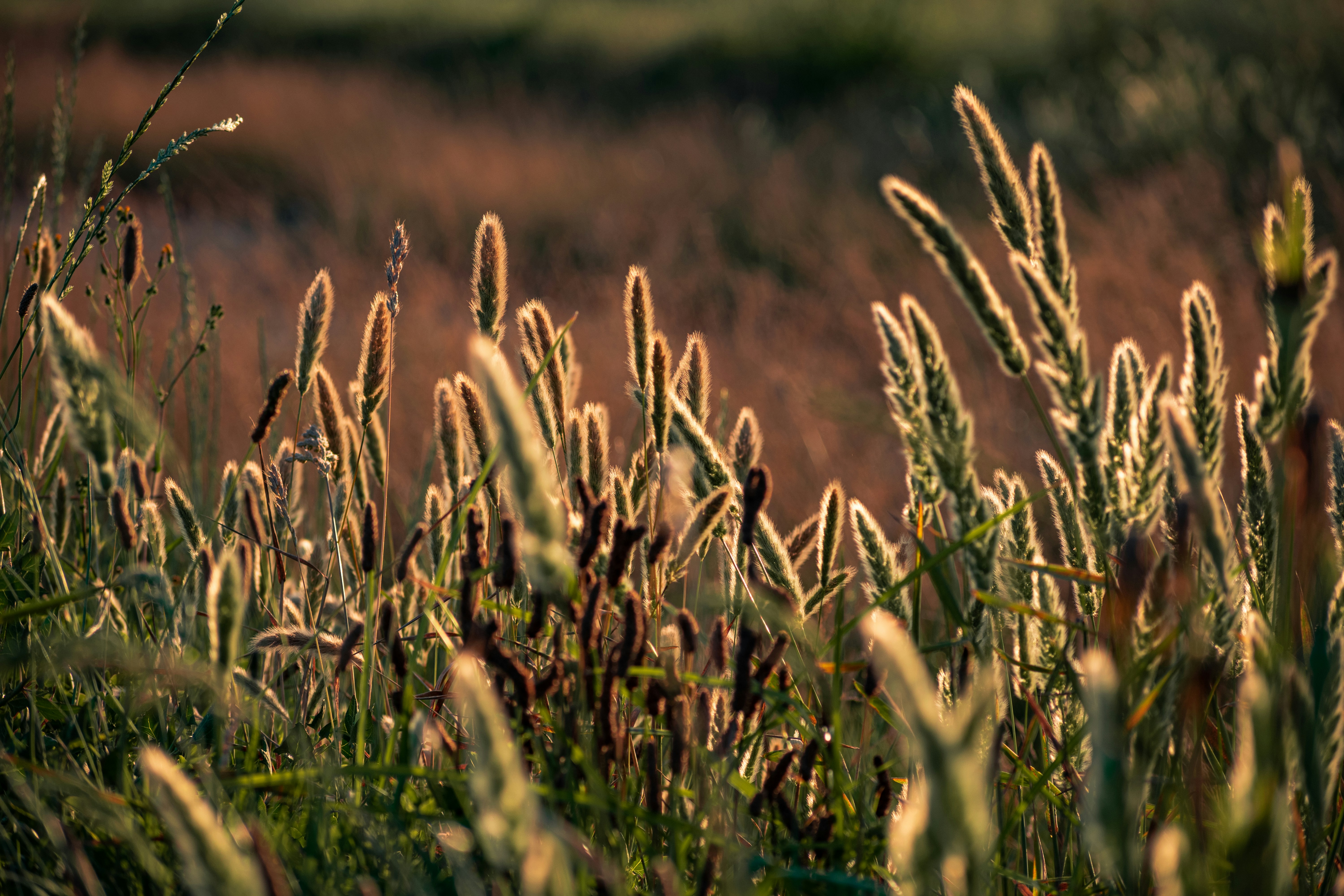 Photo by stevepaterson