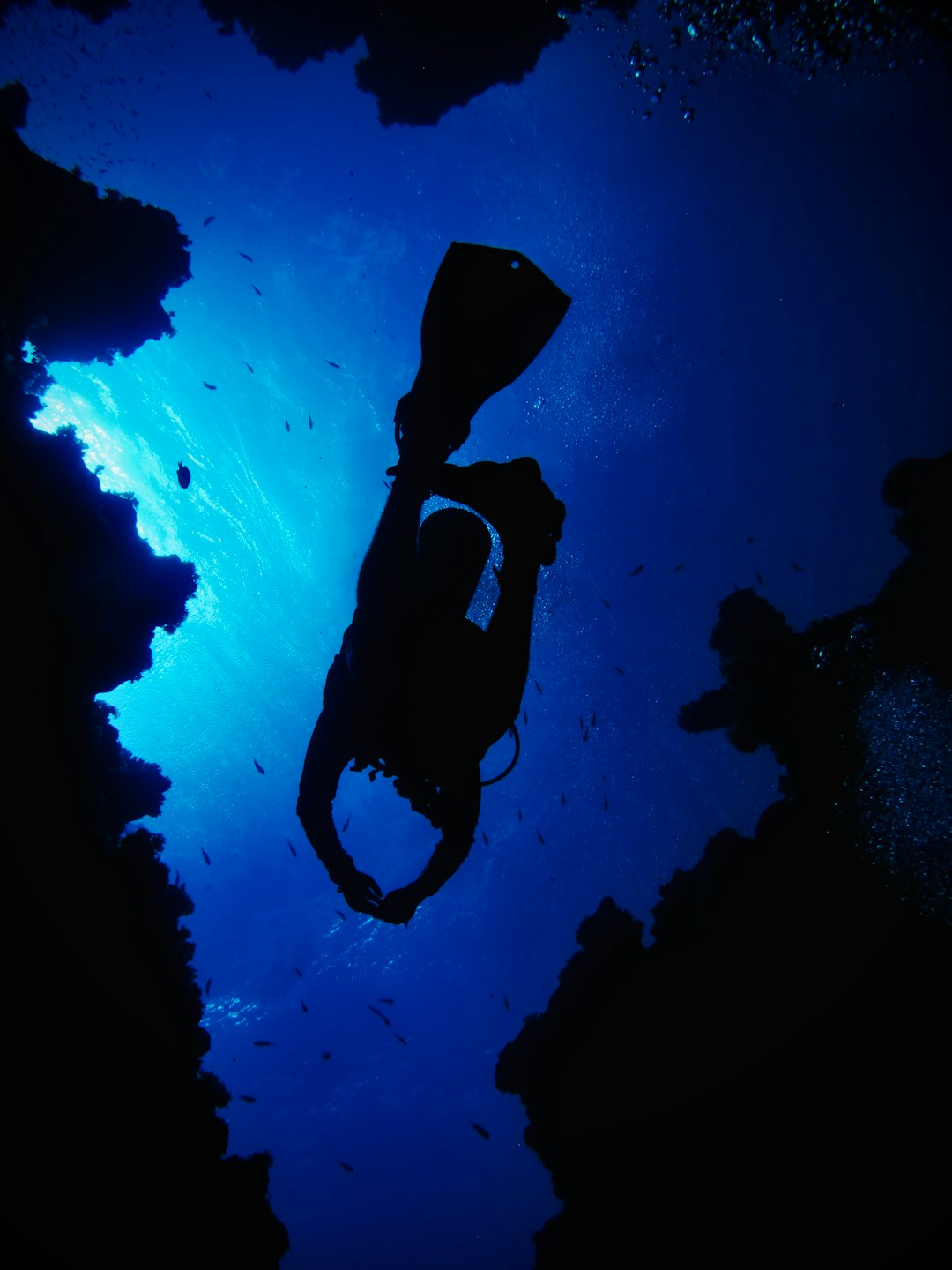 Underwater photo spot Canyon Garden Blue Hole Dive Site