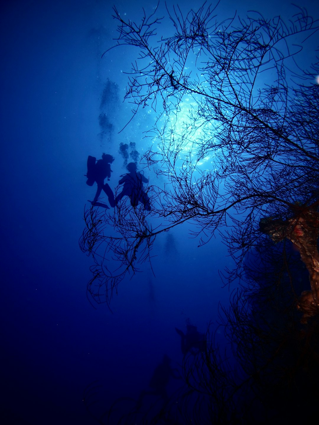 silhouette of scuba diving