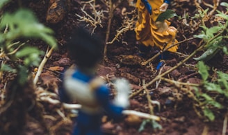 Goku and Vegetta action figures on soil beside plants