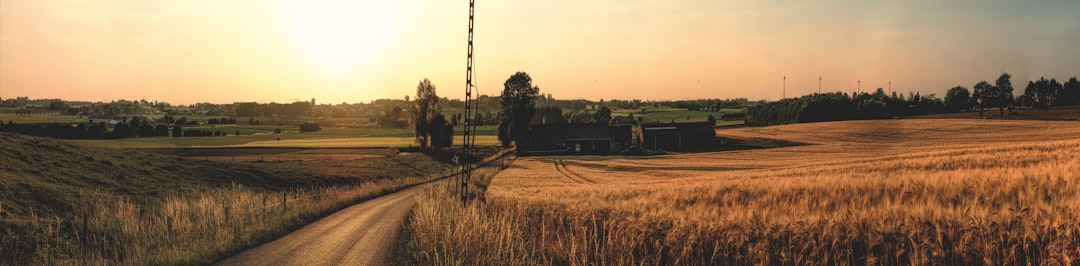 photo of Zwevegem Plain near Broeltorens