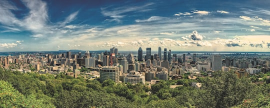 wide-angle photography of buildings during daytime in Mount Royal Park Canada