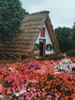 A quaint, thatched-roof cottage surrounded by lush greenery and vibrant flowers. The building features a steeply pitched roof, white walls with blue accents, and a wooden door. The garden is bursting with colorful flowers in shades of red, pink, and white, creating a cheerful and inviting atmosphere.