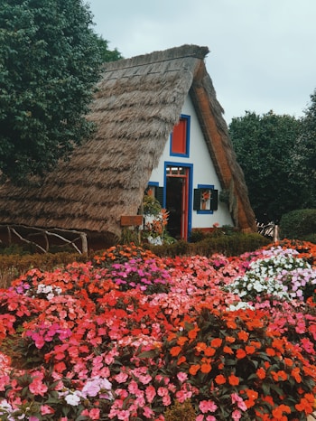 A cozy seaside cottage with a welcoming porch and blooming flowers.