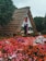 A quaint, thatched-roof cottage surrounded by lush greenery and vibrant flowers. The building features a steeply pitched roof, white walls with blue accents, and a wooden door. The garden is bursting with colorful flowers in shades of red, pink, and white, creating a cheerful and inviting atmosphere.