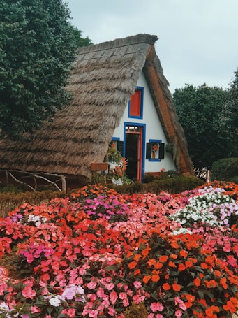 A quaint, thatched-roof cottage surrounded by lush greenery and vibrant flowers. The building features a steeply pitched roof, white walls with blue accents, and a wooden door. The garden is bursting with colorful flowers in shades of red, pink, and white, creating a cheerful and inviting atmosphere.