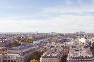 aerial photograph of city