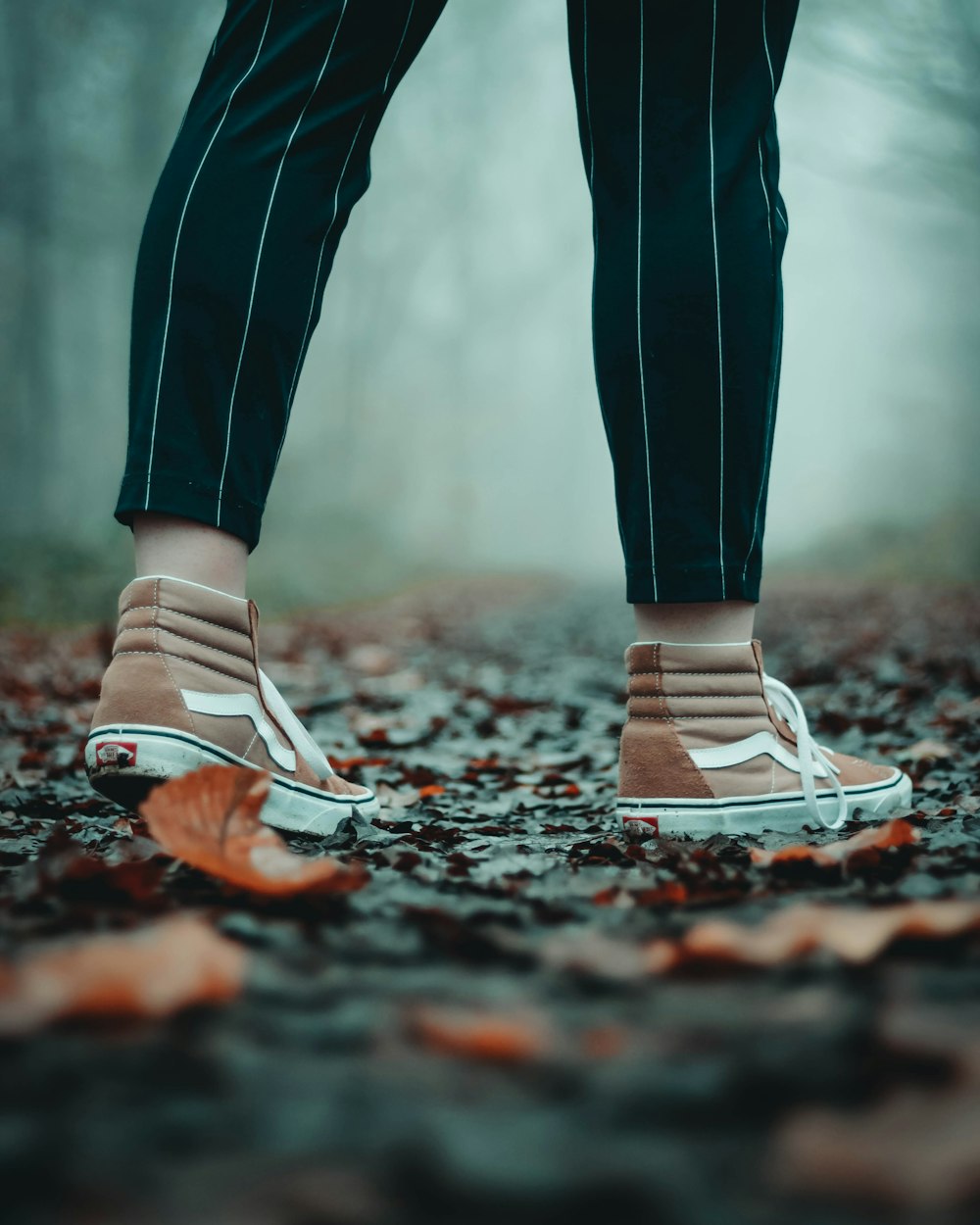 adolescente Suministro Dato Foto par de zapatillas Vans altas marrones y blancas – Imagen Gris gratis  en Unsplash
