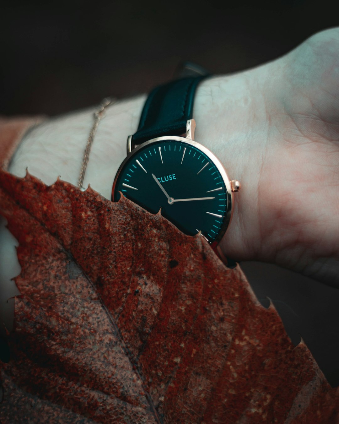 round black and gold-colored analog watch with black leather band