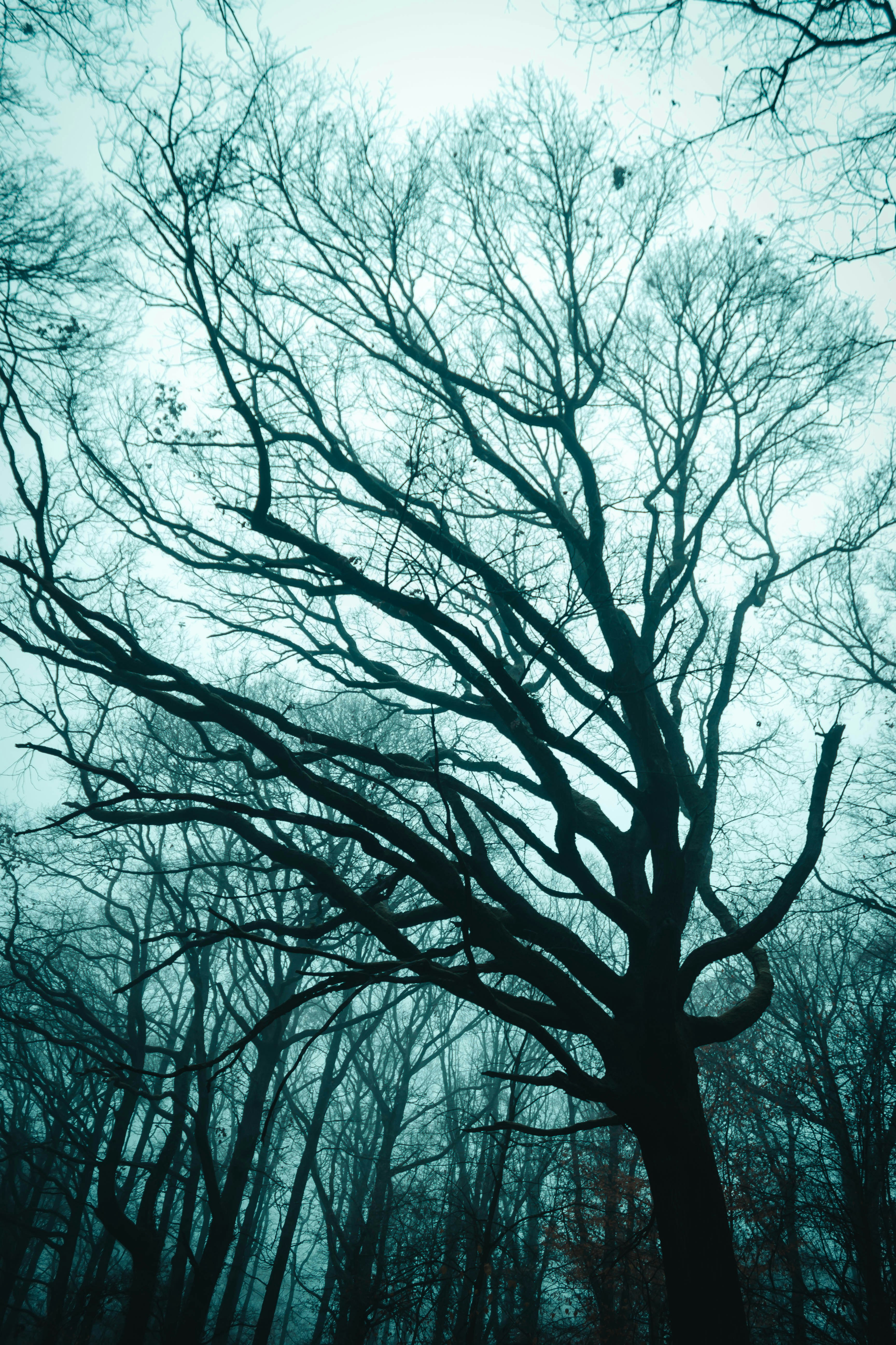 Photo by matreding