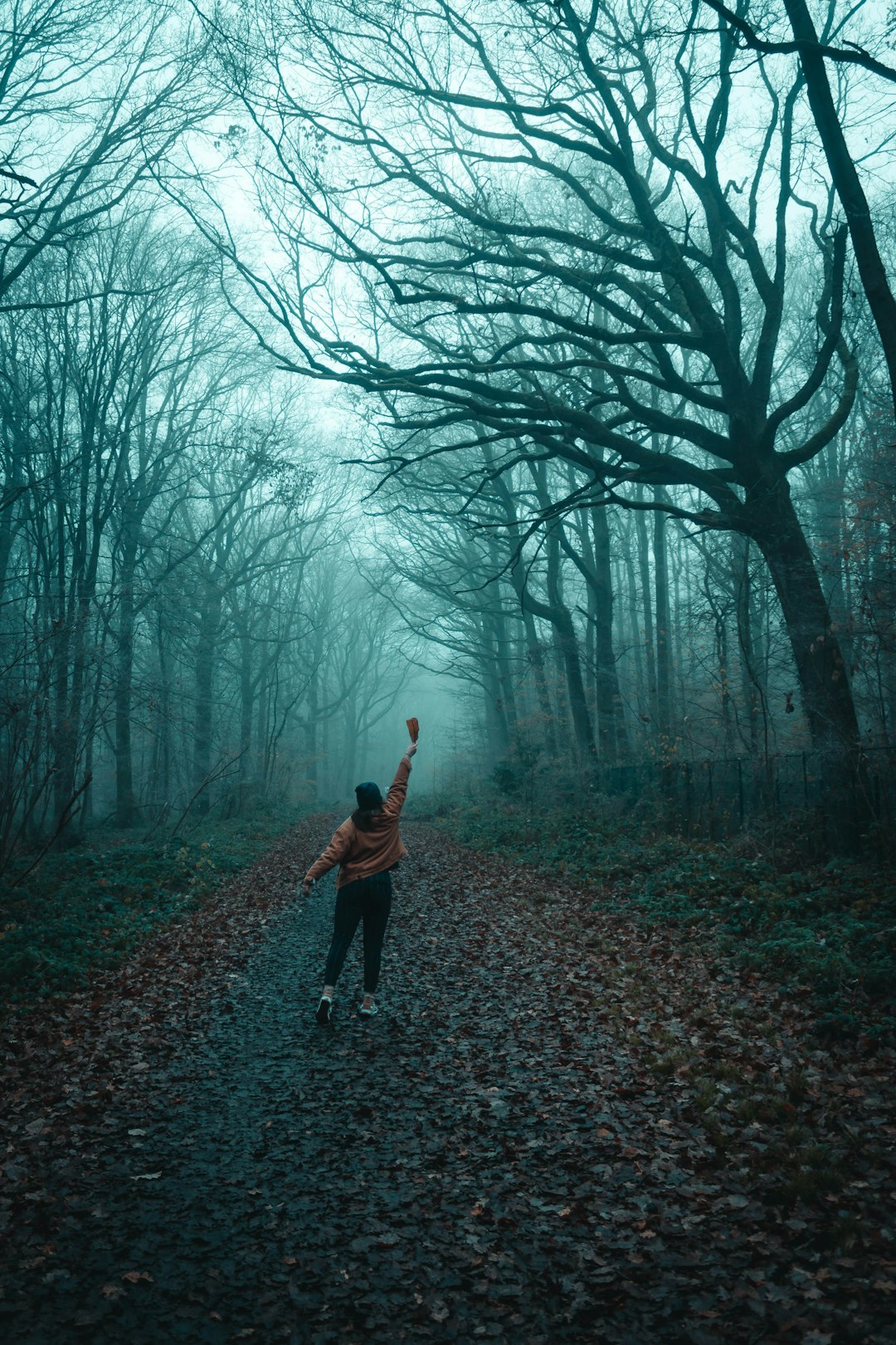 person walking on pathway between bare trees