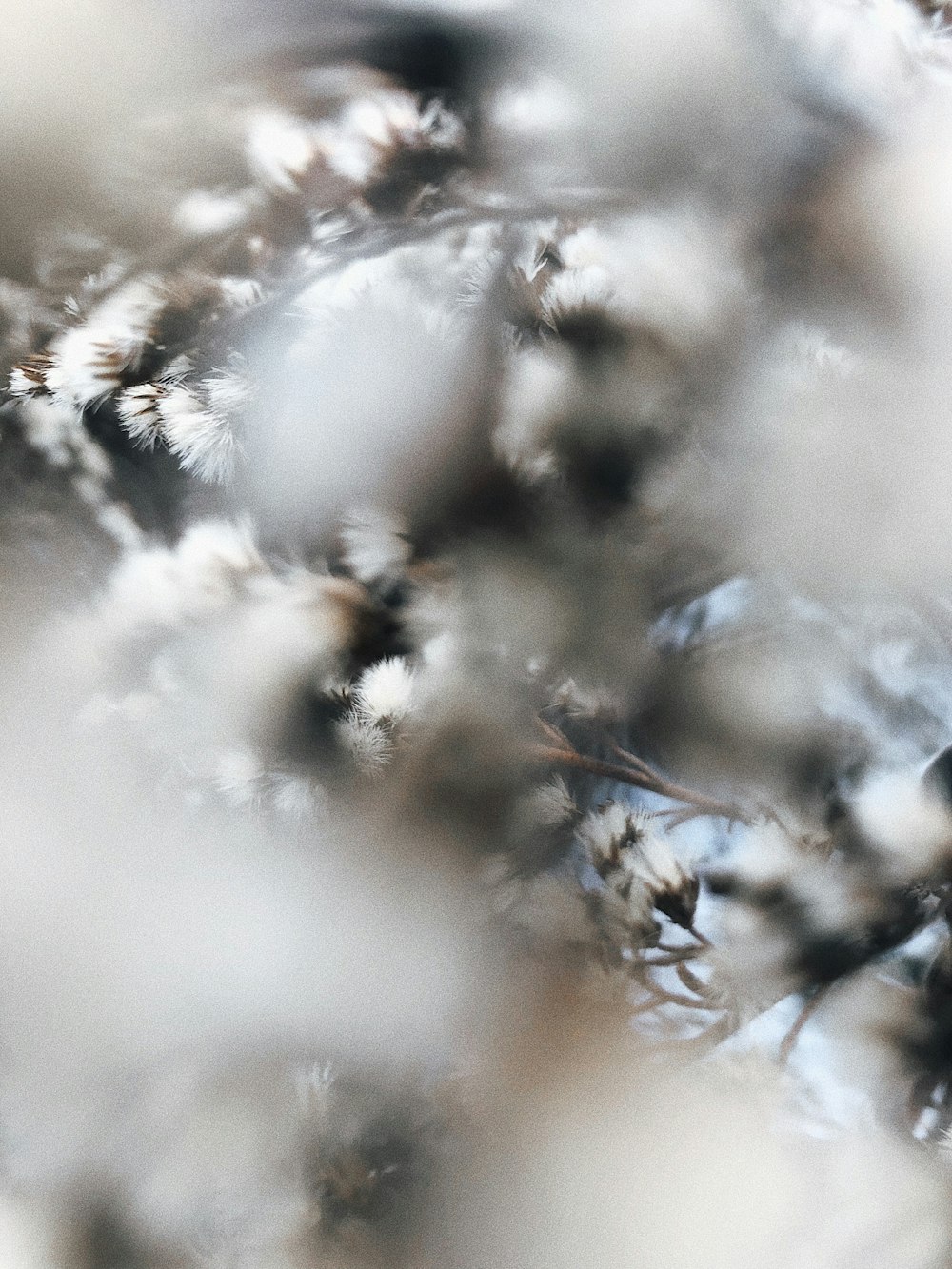 a blurry photo of a tree with a bird sitting on it's branch