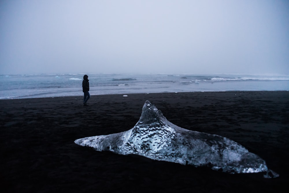 person walking on seashore