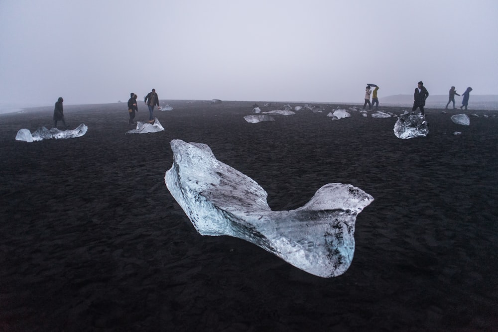 eight person standing on sand with ice