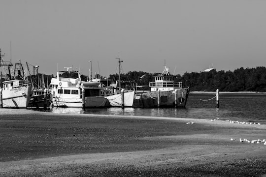 grayscale photography of boats on body of water viewing trees in Lakes Entrance VIC Australia