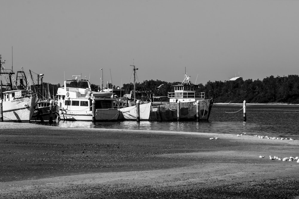 grayscale photography of boats on body of water viewing trees